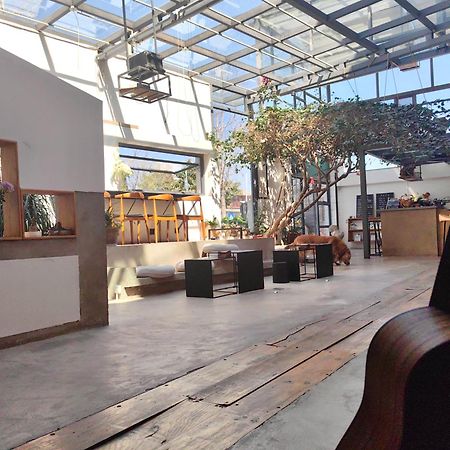 Dali Loft Travelling With Hostel Ngoại thất bức ảnh