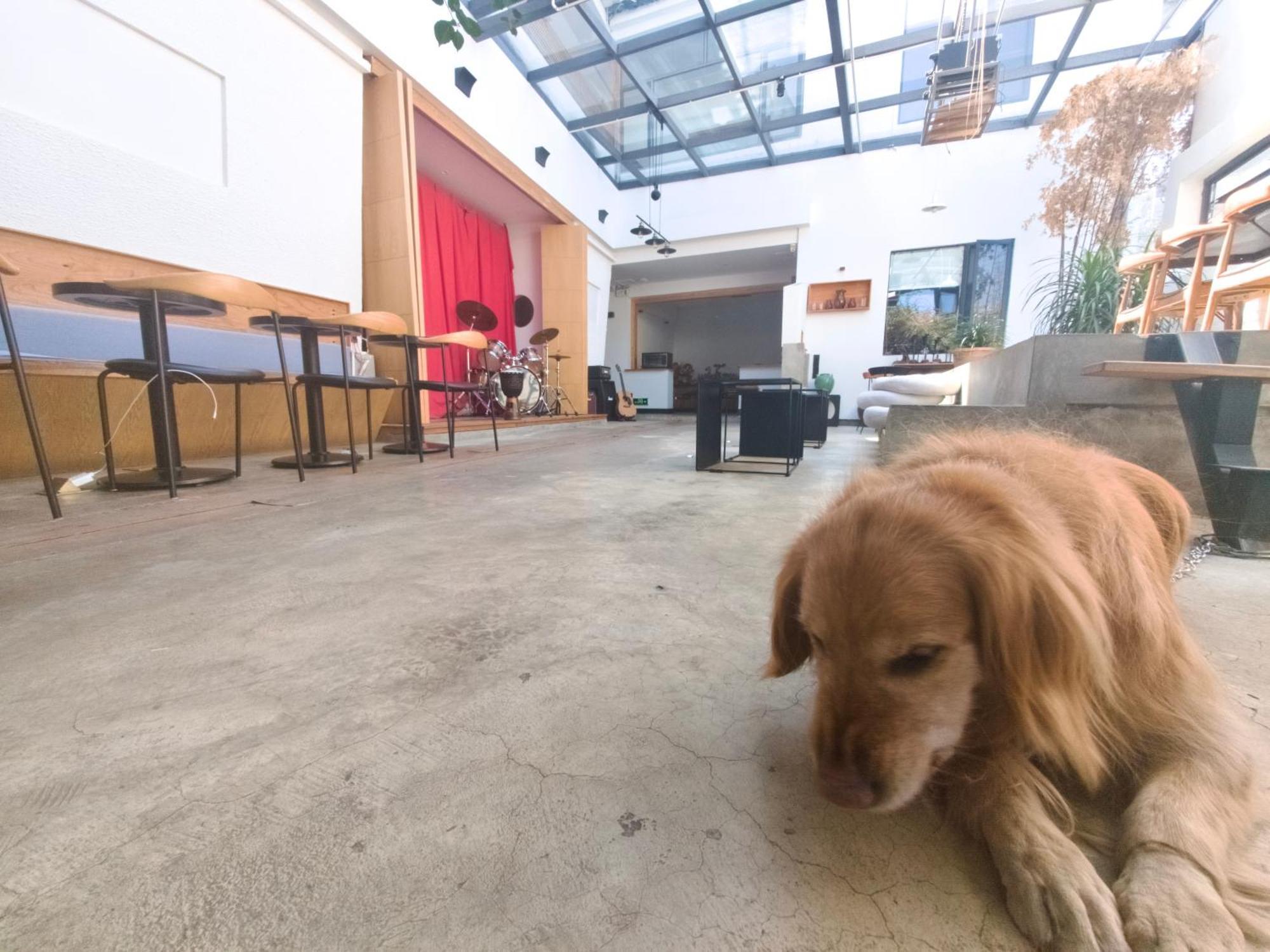 Dali Loft Travelling With Hostel Ngoại thất bức ảnh