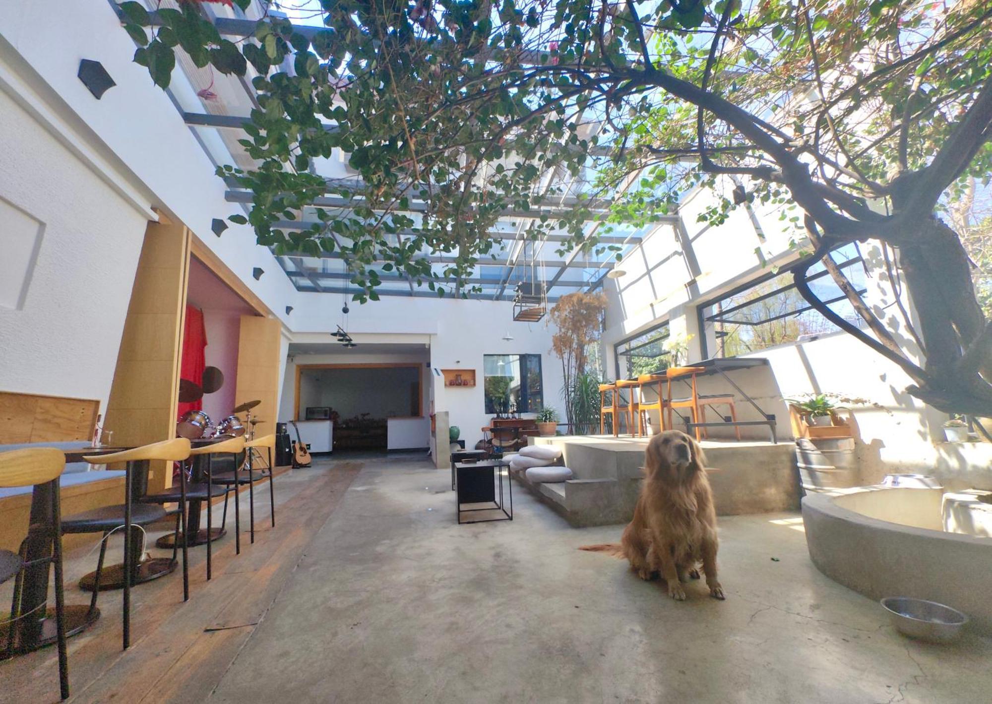 Dali Loft Travelling With Hostel Ngoại thất bức ảnh